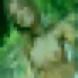 Touria (42 ans) à Romainville cherche une rencontre aujourd'hui
