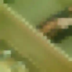 Photo de Albane à Roquemaure (26 ans) - rencontre sexy gratuit