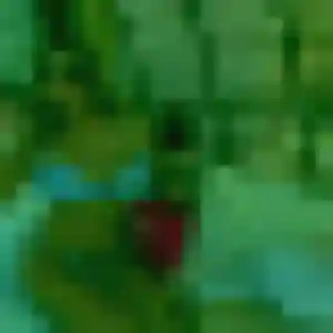 Daphne, femme de 30 ans veut rencontre sexy à Rouvroy