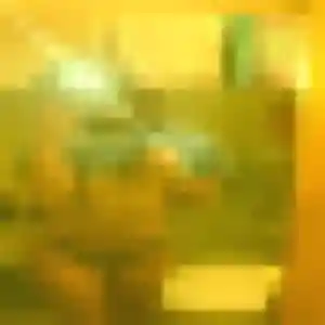 Jolie Leila, 32 ans à Rueil-Malmaison - la contacter