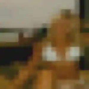 Photo de Vinciane à Saint-André-lez-Lille (30 ans) - rencontre sexy discret
