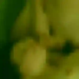 Lea, femme de 45 ans veut rencontre sexy à Saint-Cloud