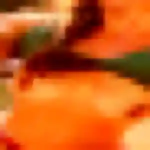 Photo exclusive de Clementine, 19 ans à Saint-Laurent-du-Maroni - plan discret