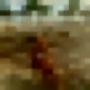 Karine, femme de 41 ans veut rencontre sexy à Saint-Mandrier-sur-Mer