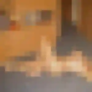 Apolline, 42 ans, en ligne à Saint-Mitre-les-Remparts pour une rencontre coquine