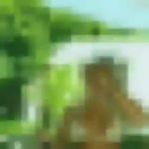 Ameline (20 ans) à Saint-Nazaire propose un rencontre sexy maintenant