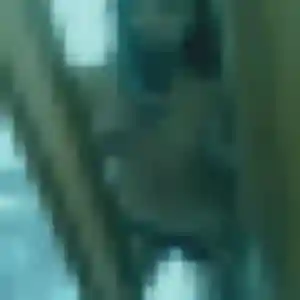 Profil de Rebecca à Saint-Philbert-de-Grand-Lieu (31 ans) - rencontre sexy gratuit