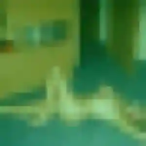 Profil de Dana à Saint-Pierre (30 ans) - rencontre sexy discret
