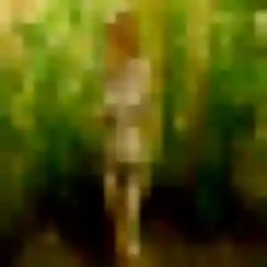Phoebe, 33 ans, dispo pour rencontre sexy à Saint-Rémy-lès-Chevreuse