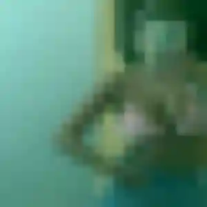 Profil de Marie-Louise à Saint-Symphorien-d'Ozon (40 ans) - rencontre sexy discret