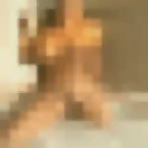 Victoire, femme de 42 ans propose rencontre sexy à Séné