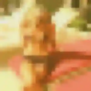 Photo exclusive de Yasmine, 44 ans à Septèmes-les-Vallons - rencontre coquine
