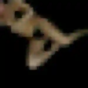 Photo de Garance à Sucy-en-Brie (35 ans) - rencontre sexy sans inscription