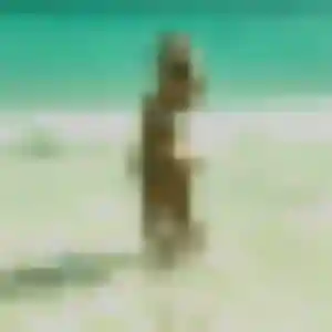 Whitney, 39 ans, cherche un rencontre sexy à Thaon-les-Vosges
