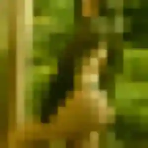 Orane (45 ans) à Thonon-les-Bains cherche un rencontre sexy aujourd'hui