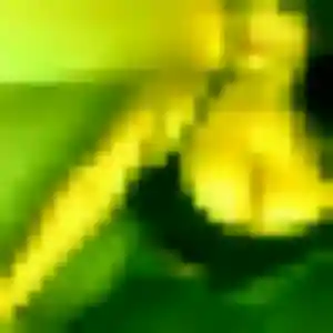 Victoire, 28 ans, veut un rencontre sexy à Thorigné-Fouillard