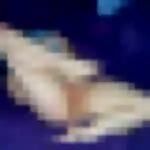 Photo privée de Flavie, 31 ans à Thouaré-sur-Loire - rencontre coquine