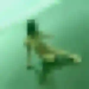 Lola (30 ans) à Thuir attend un rencontre sexy aujourd'hui
