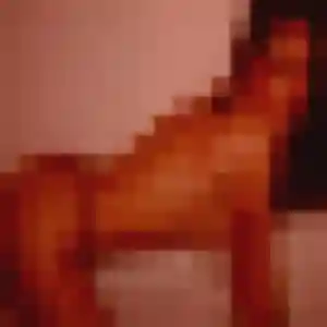 Rejoins Brune, 38 ans à Tours en privé