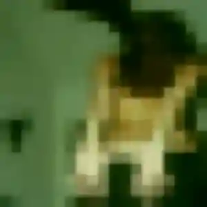 Fatima, femme de 33 ans cherche rencontre sexy à Tours
