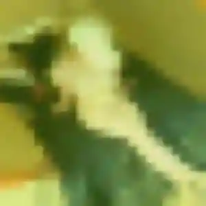 Jean-Marie, 44 ans, dispo pour rencontre sexy à Val-de-Moder