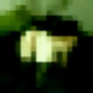 Profil de Patricia à Vigneux-de-Bretagne (31 ans) - rencontre sexy gratuit