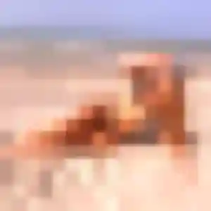 Sophie, femme de 21 ans propose rencontre sexy à Vigneux-sur-Seine