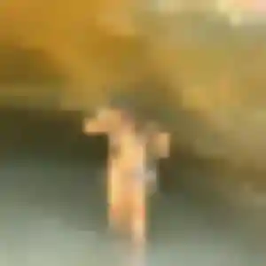 Florence, 29 ans, connectée à Villeneuve-sur-Lot pour une rencontre coquine