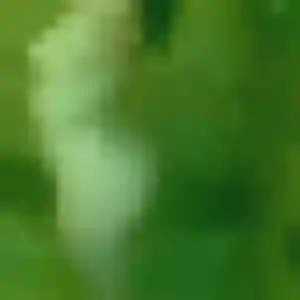 Sexy Colombine, 43 ans à Wimereux - voir sa photo