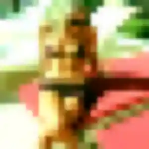 rencontre sexy à Yssingeaux : profil de Zelda, 23 ans - inscription gratuite
